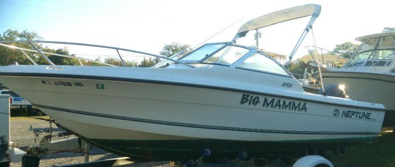 1996 Sunbird 20' Dual Console w/115hp Johnson