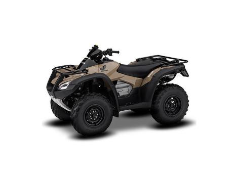 2014 Honda FourTrax Rincon