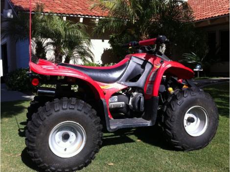 2006 Can-Am Ds