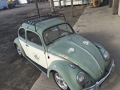 Volkswagen : Beetle - Classic Sweet Pea Perfect Patina VW that didn't cheat emissions 1776 cc Bug Beetle I Ship