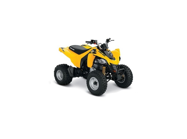 2016 Can-Am DS 250