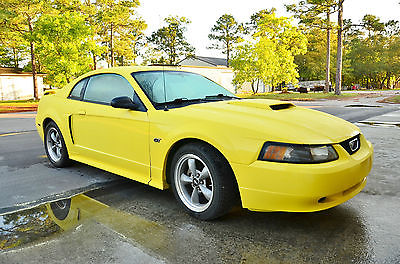 Ford : Mustang GT 2001 ford mustang gt premium package