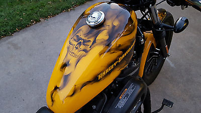 Harley-Davidson : Sportster 2011 harley davidson sportster custom paint one of a kind