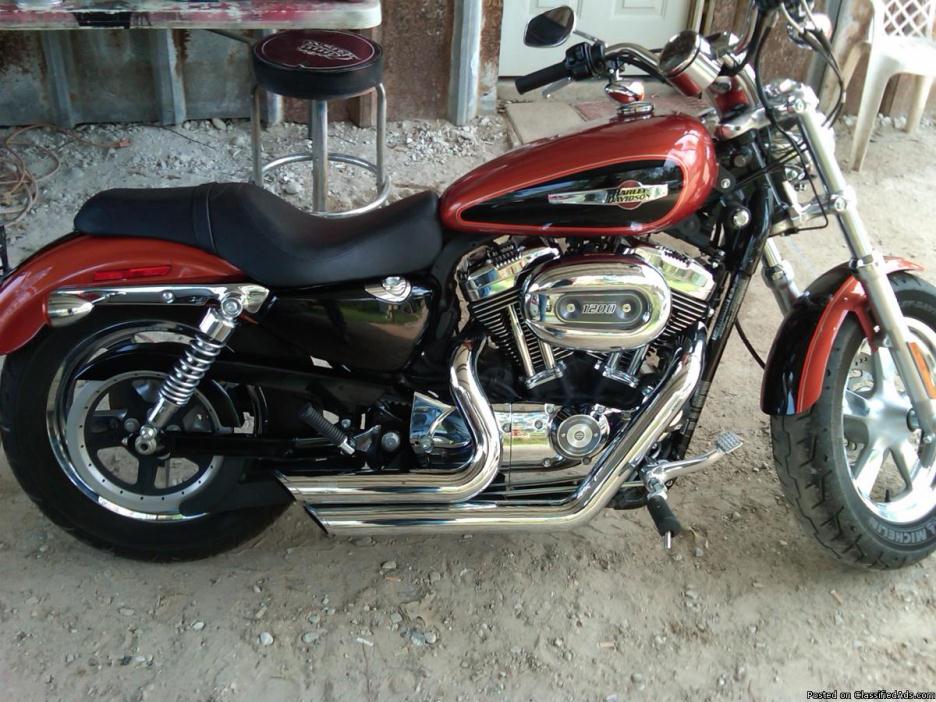 2011 Custom Harley Davidson XL 1200