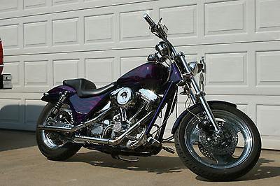 Harley-Davidson : Dyna 1991 harley davidson low rider custom