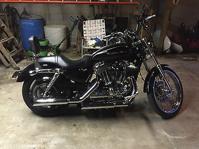 Harley-Davidson : Sportster 2007 harley davidson sportster 1200 custom extras very nice brand new tires