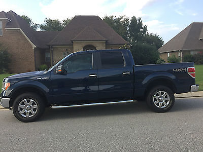 Ford : F-150 XLT Crew Cab Pickup 4-Door 2013 ford f 150 xlt 4 x 4 supercrew 5.0 l v 8