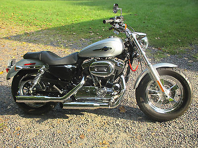 Harley-Davidson : Sportster Excellent condition, custom silver pearl color, Michelin tires