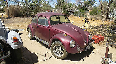 Volkswagen : Beetle - Classic 70 bug w clean interior and new motor low price need the money