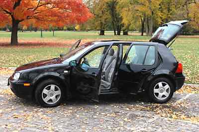 Volkswagen : Golf GLS Hatchback 4-Door 2002 vw golf