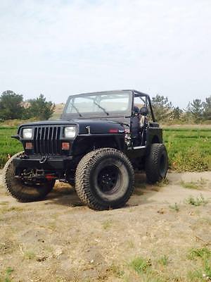 Jeep : Wrangler SE Sport Utility 2-Door 1994 jeep wrangler se sport utility 2 door 4.0 l a true champ no problems at all