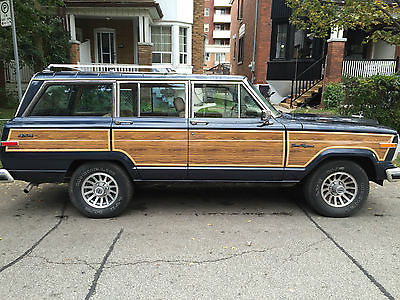 Jeep : Other 1988 jeep grand wagoneer