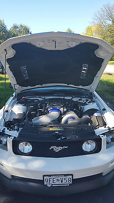 Ford : Mustang GT 2007 mustang gt excellent condition over 500 h p but so sweet to drive