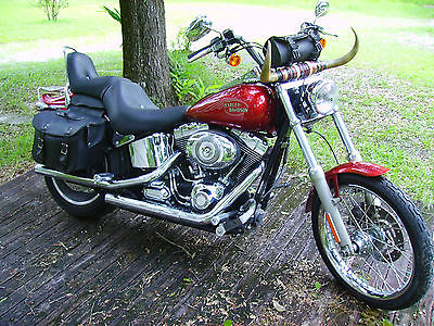 Harley-Davidson : Softail 2008 softail custom hd