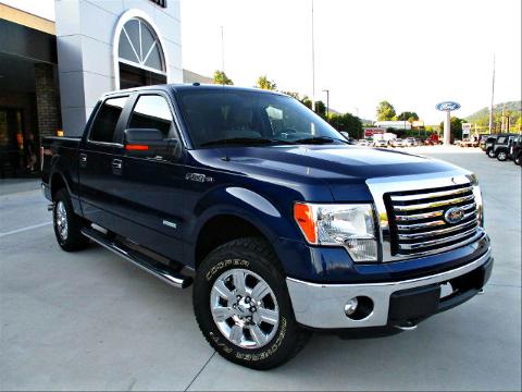 2011 Ford F-150 Clayton, GA