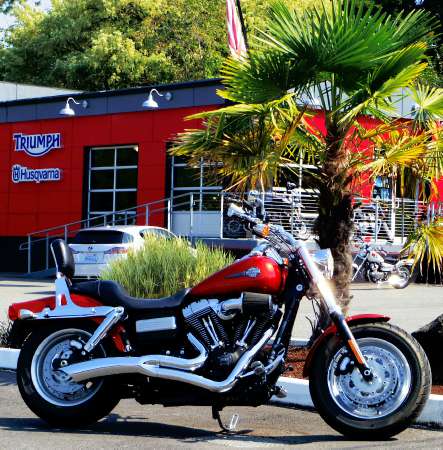 2013  Harley-Davidson  Dyna Fat Bob