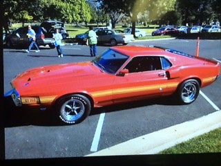 Ford : Mustang GT-350 Mustang Shelby GT-350