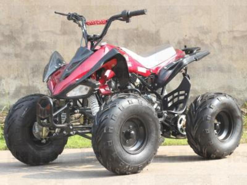 2011 Ice Bear 125cc Gazelle Single Cylinder 4 Stroke ATV