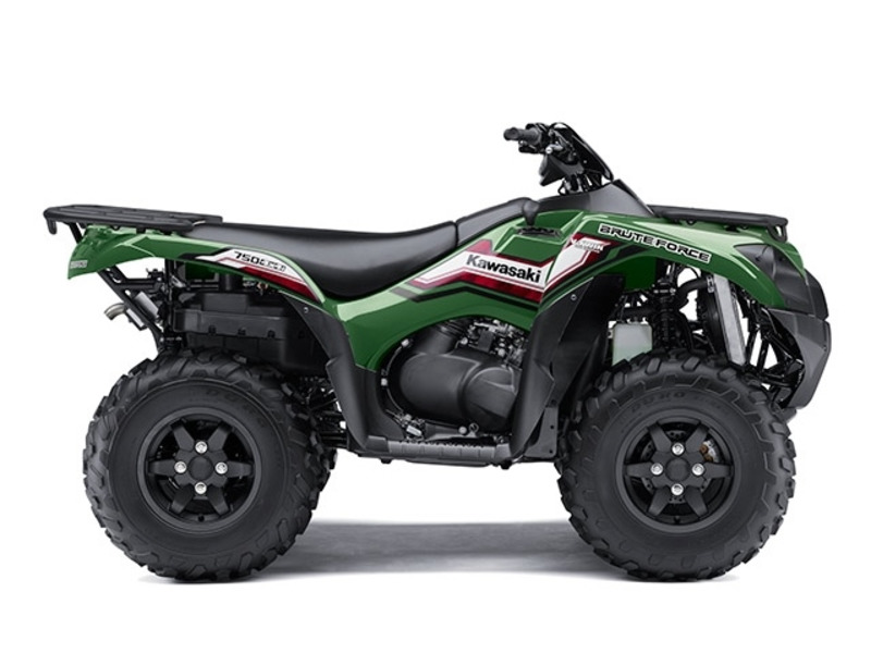 2015 Kawasaki Teryx4 LE