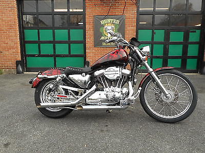 Harley-Davidson : Sportster 1996 harley davidson xl 1200 custom scull bike custom air brush paint chromed