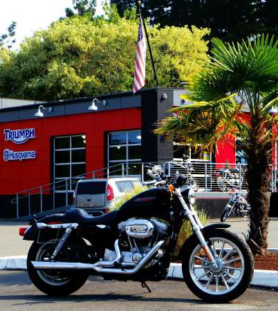 2007  Harley-Davidson  Sportster 883 Custom