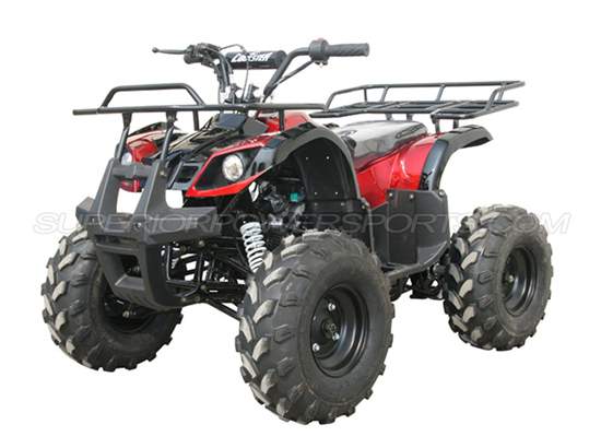 2010 Coolster Atv-110cc Kids Quad