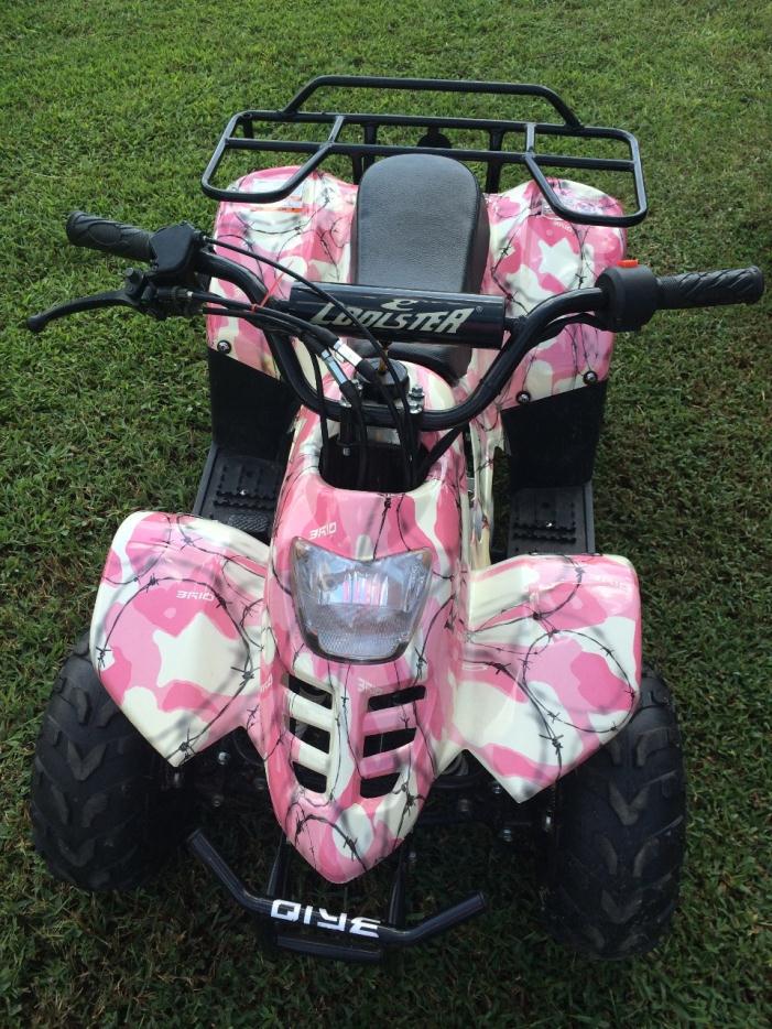 2010 Coolster Atv-110cc Kids Quad