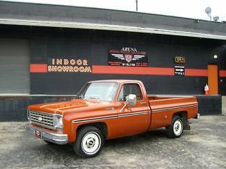 Chevrolet : C-10 1976 brown