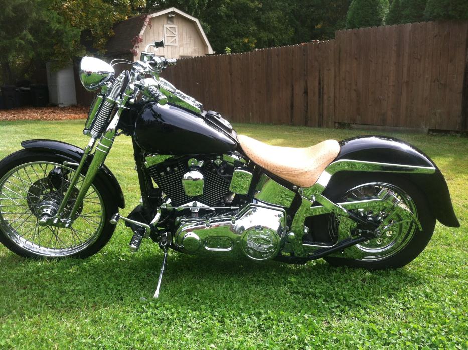 2011 Harley-Davidson Softail DELUXE