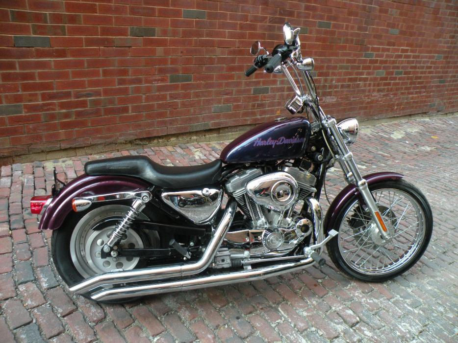 2003 Harley-Davidson XL883 Sportster - 2 Tone Purple