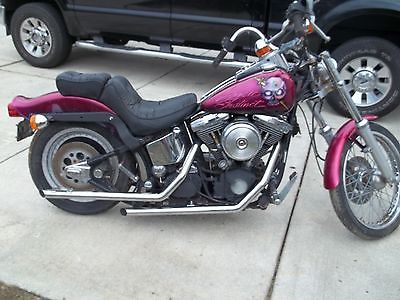Harley-Davidson : Softail 1991 harley davidson fxstc great winter project with clear title