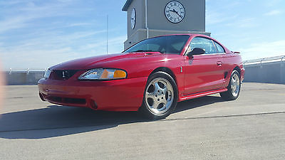 Ford : Mustang SVT Cobra Ford Mustang Cobra Coupe