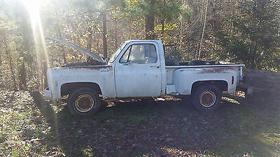 Chevrolet : C-10 c10 1977 chevrolet c 10 step side