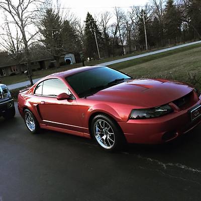 Ford : Mustang Cobra 2004 ford mustang svt cobra coupe 2 door 4.6 l