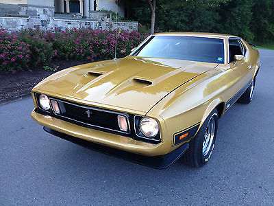 Ford : Mustang MACH 1 COBRA JET! DOCUMENTED HISTORY AND MILEAGE!
