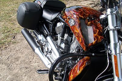 Harley-Davidson : VRSC Harley Davidson VROD MUSCLE 2014 Custom Black with Fire Skulls