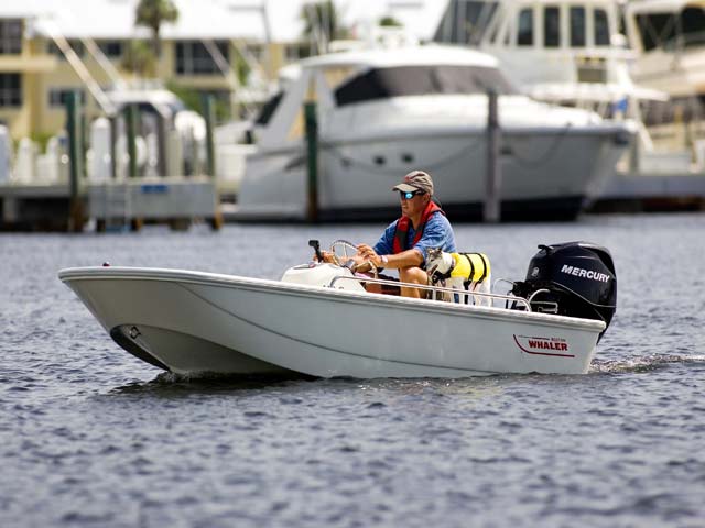 2015 Boston Whaler 110 Sport