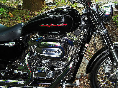 Harley-Davidson : Sportster HARLEY DAVIDSON 1200 CUSTOM 2005