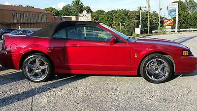 Ford : Mustang COBRA 03 mustang cobra convertible supercharged 4.6 litre 6 speed 38 k miles 2 nd own