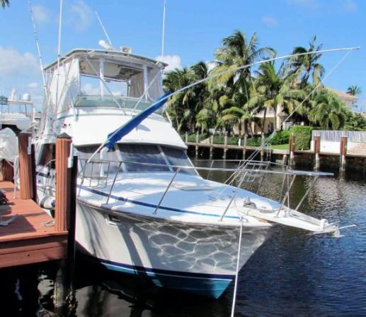 1983  Bertram  38 Sport Fisherman