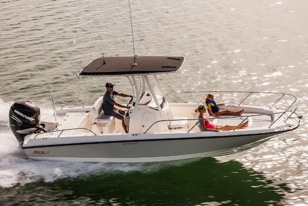 2015 Boston Whaler 240 Dauntless