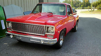 Chevrolet : C/K Pickup 1500 2wd, 1/2 ton Pickup 1973 chevrolet pickup