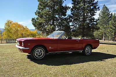 Ford : Mustang 1966 mustang convertable v 8 289