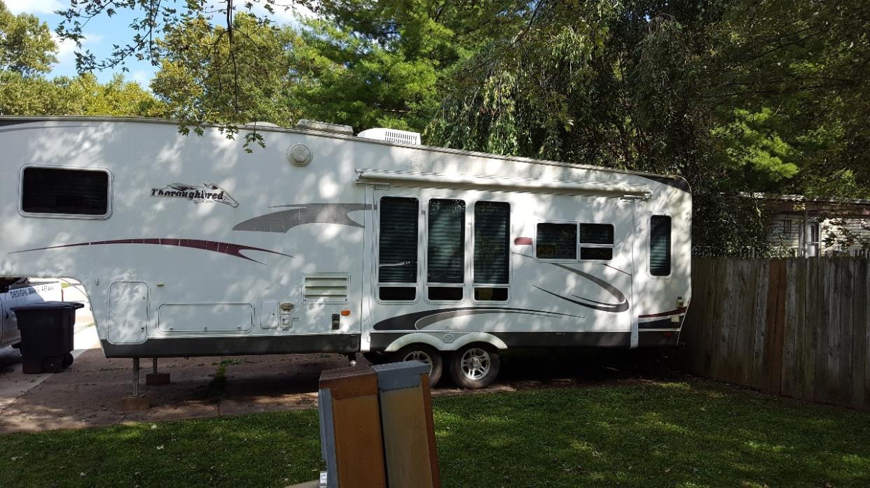 2008 Palomino THOROUGHBRED 830RE