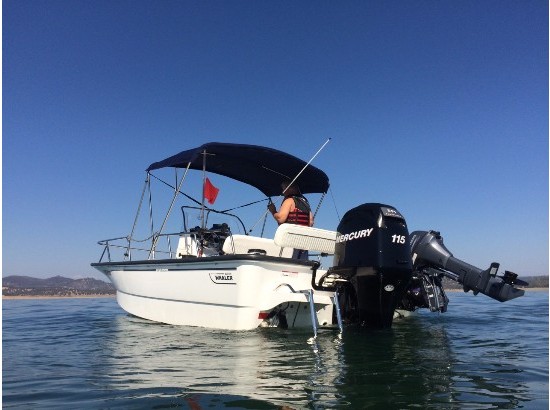 2008 Boston Whaler Montauk