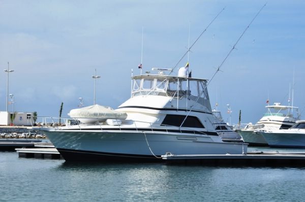 1988 Bertram Convertible Sportfish