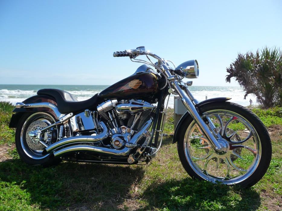 2006 Harley-Davidson SOFTAIL DELUXE