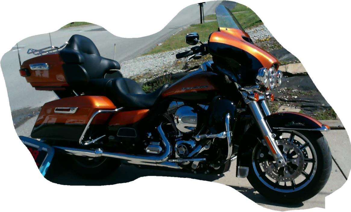 2010 Harley-Davidson FLSTN - Softail Deluxe