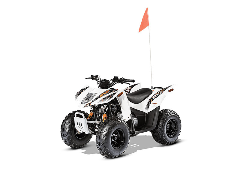 2016 Arctic Cat DVX 90