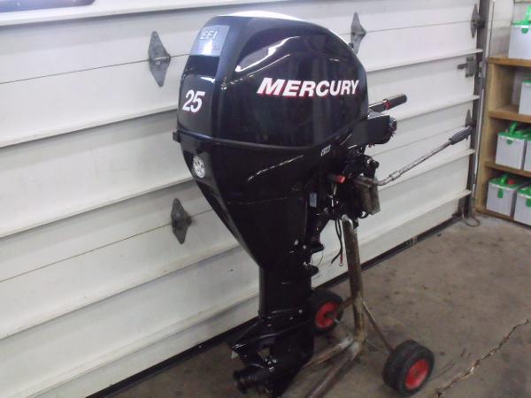 2006 Mercury F25ML